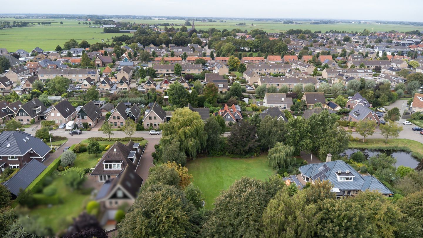 Foto 10 van Houtduif 1-A