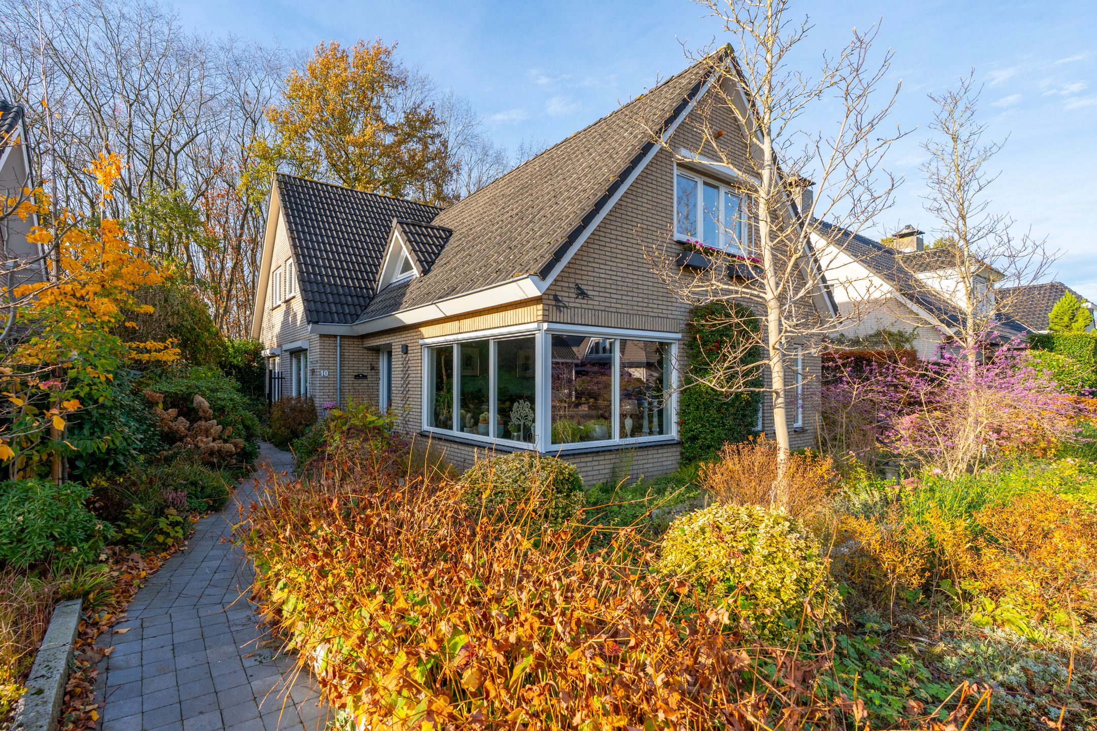 Photo 9 of Veenmos 10