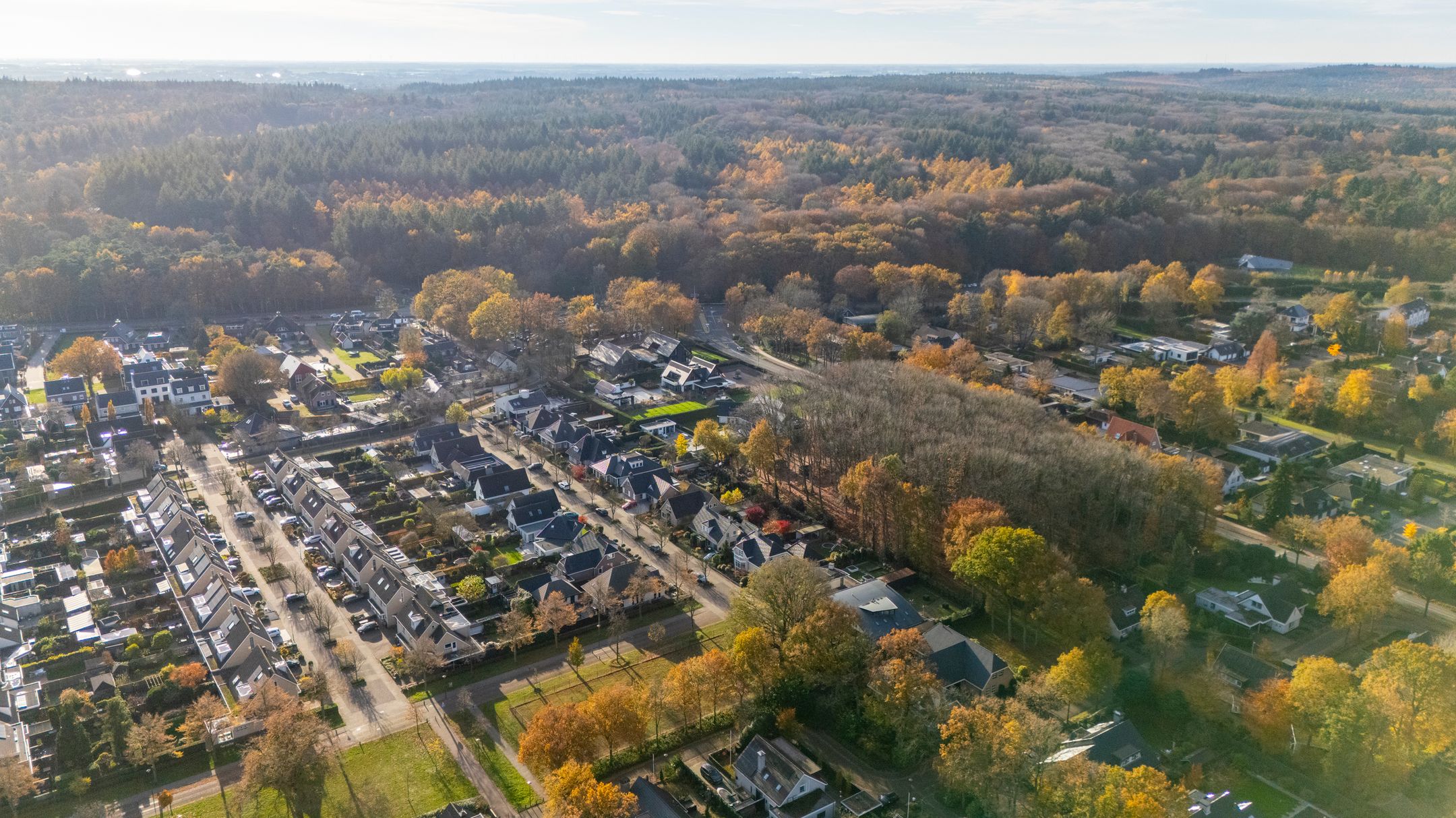 Photo 6 of Veenmos 10