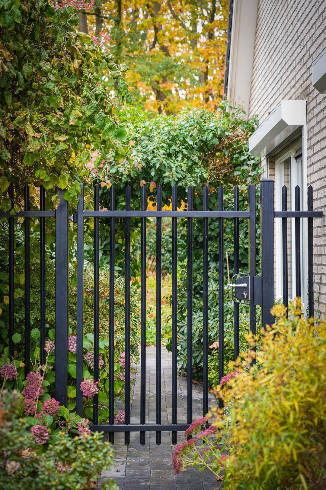 Photo 37 of Veenmos 10