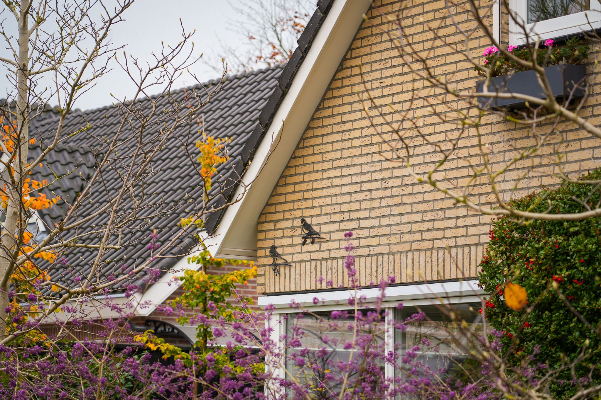 Photo 36 of Veenmos 10