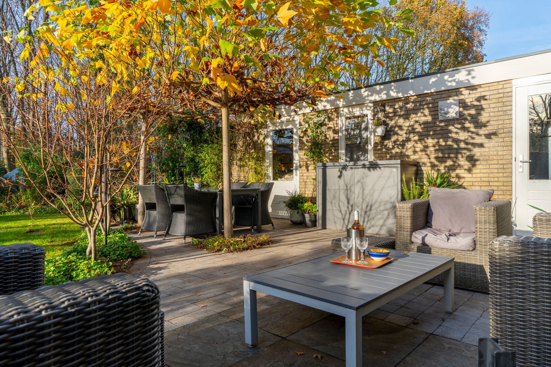 Photo 33 of Veenmos 10