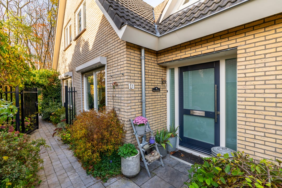 Photo 8 of Veenmos 10