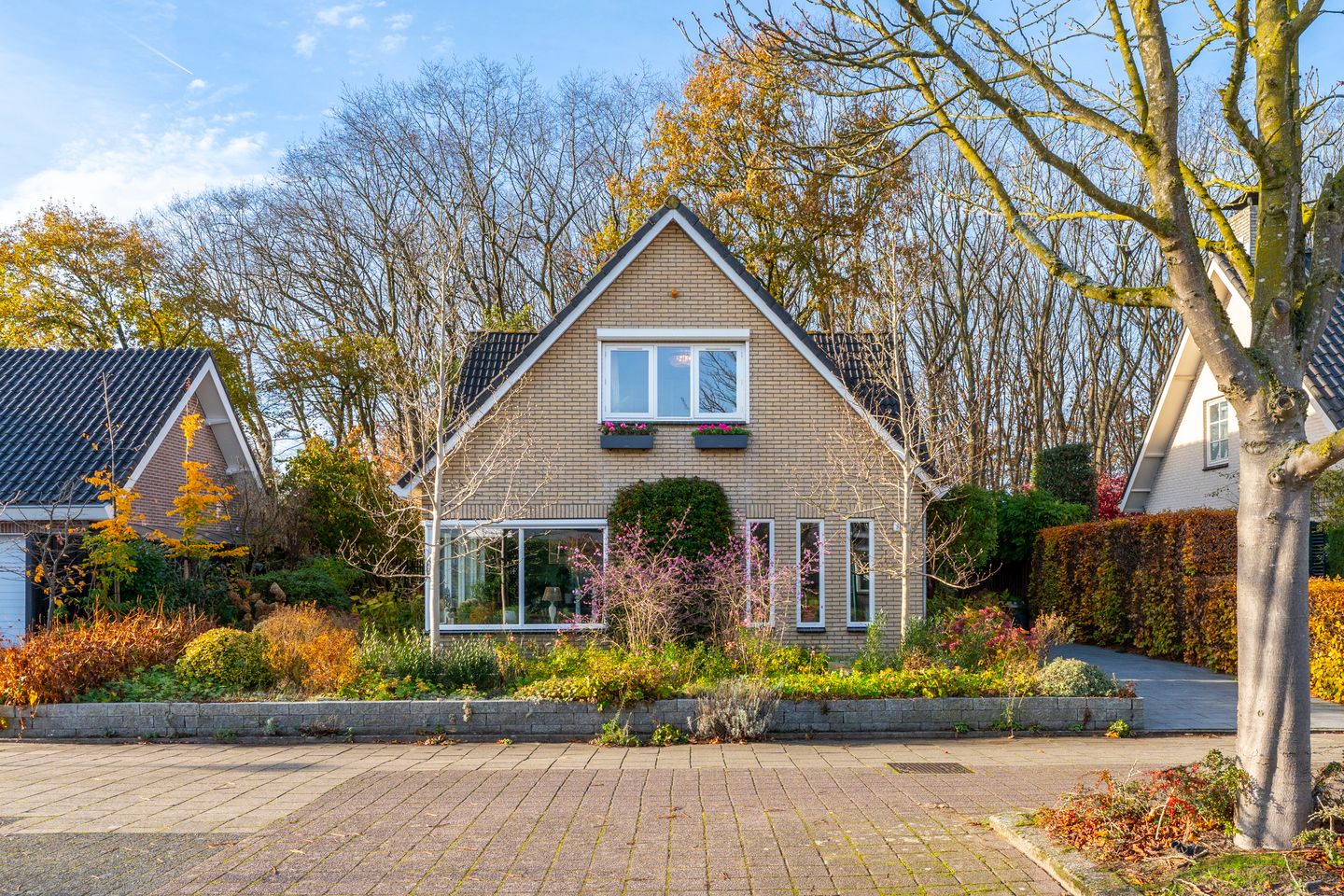 Photo 5 of Veenmos 10