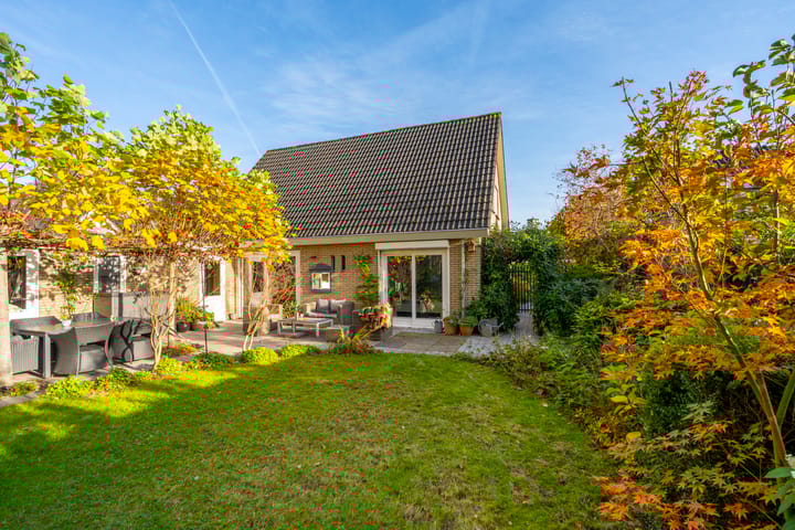 Photo 4 of Veenmos 10