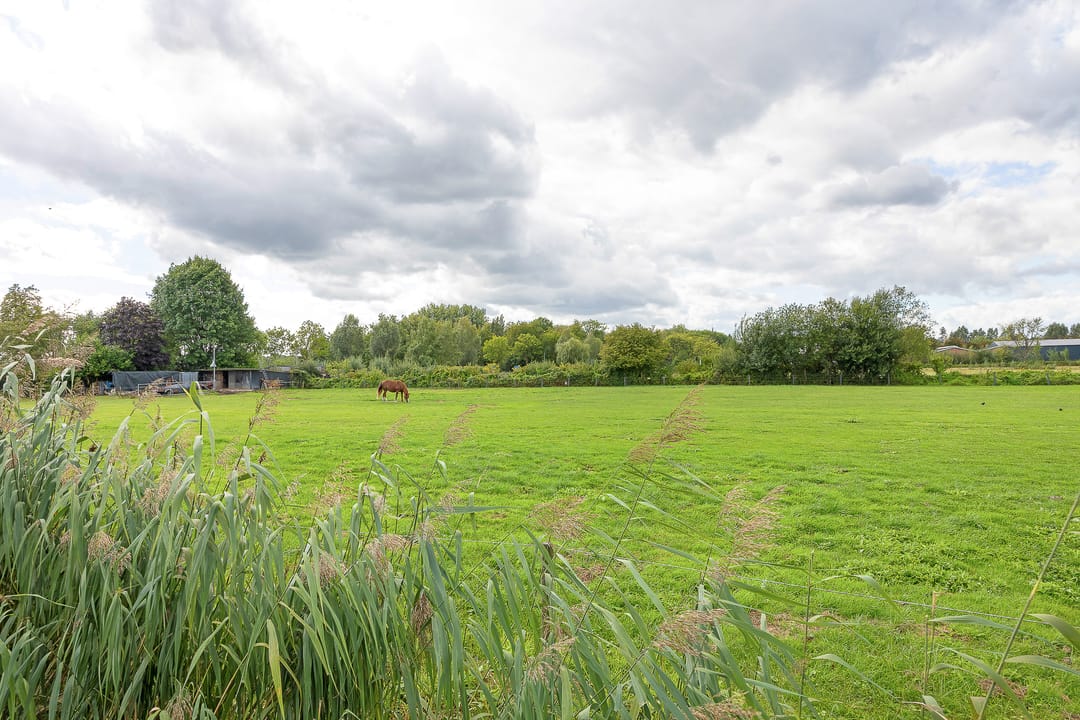 Photo 43 of Min. Aalbersestraat 12