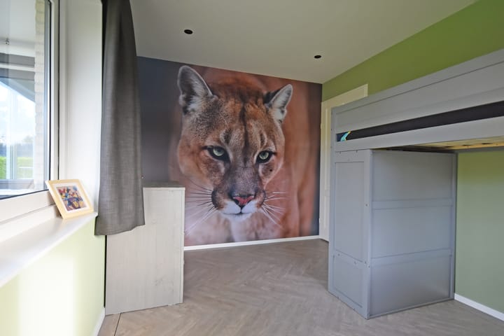 Foto 47 van Gerniersstrjitte 7