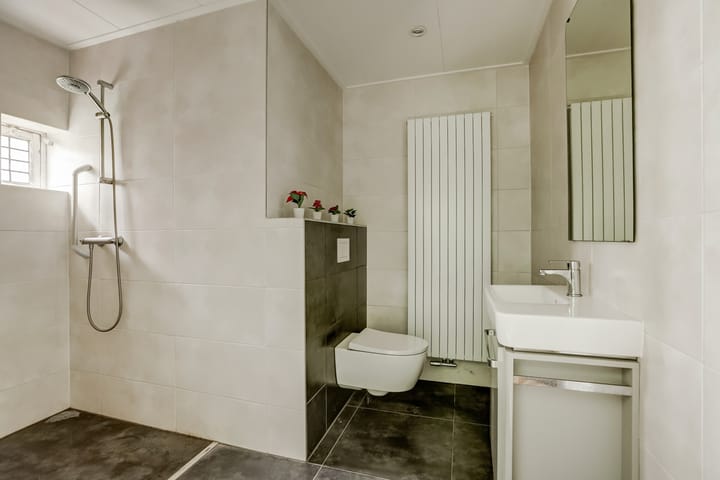 Foto 17 van Heidenskipsterdyk 38