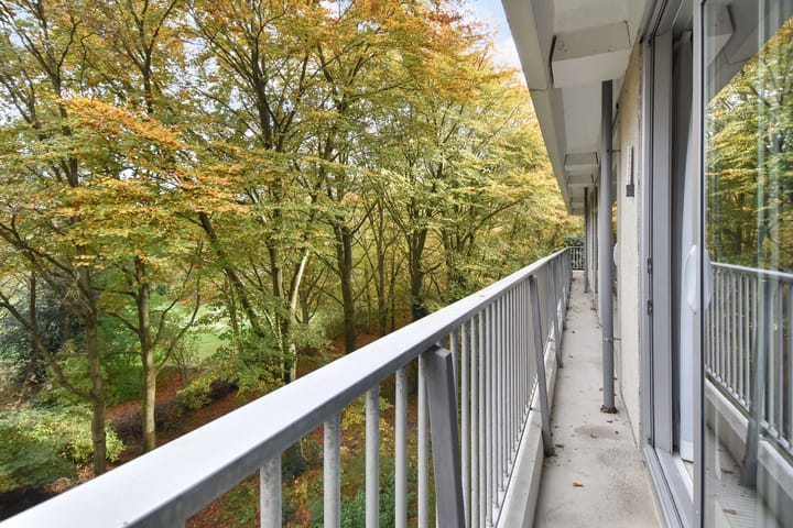 Foto 28 van Cees Laseurlaan 141