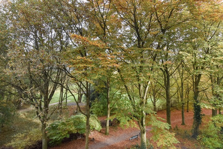 Foto 30 van Cees Laseurlaan 141