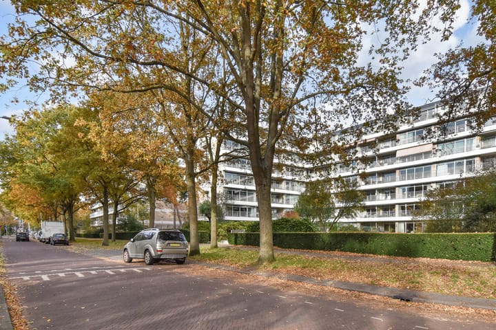 Foto 37 van Cees Laseurlaan 141