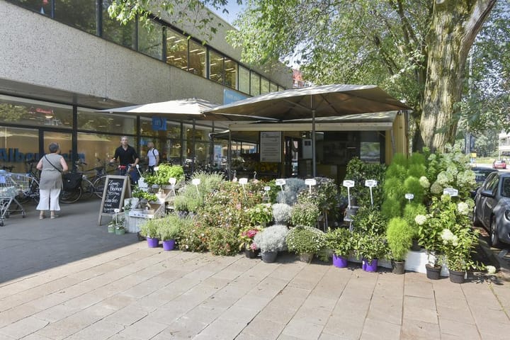 Foto 39 van Cees Laseurlaan 141