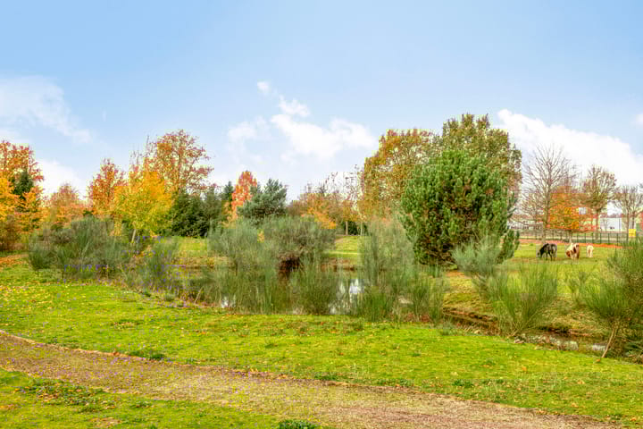 Foto 35 van Veldweg 15