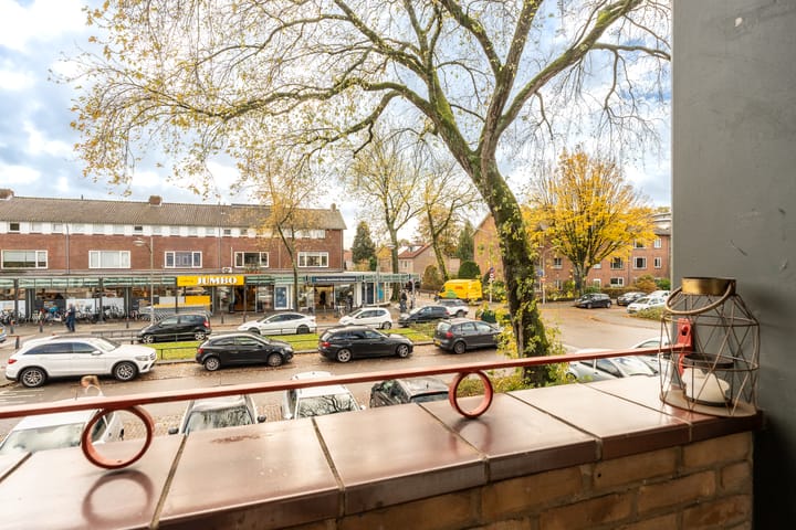 Foto 19 van Stephensonlaan 56