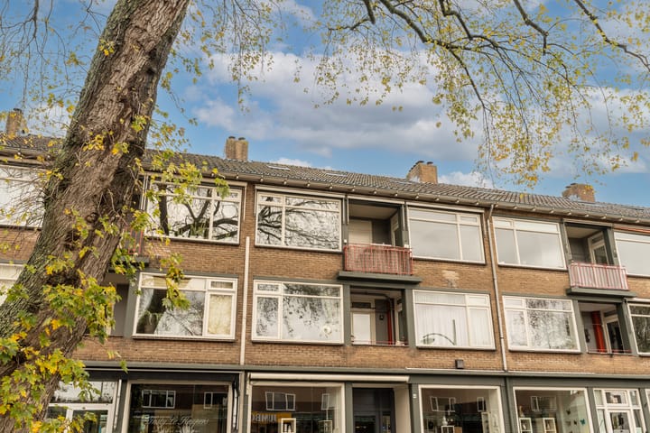 Foto 39 van Stephensonlaan 56