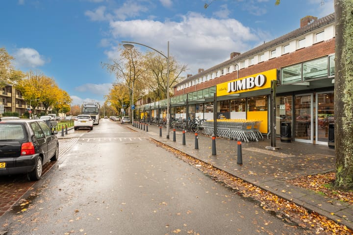 Foto 43 van Stephensonlaan 56