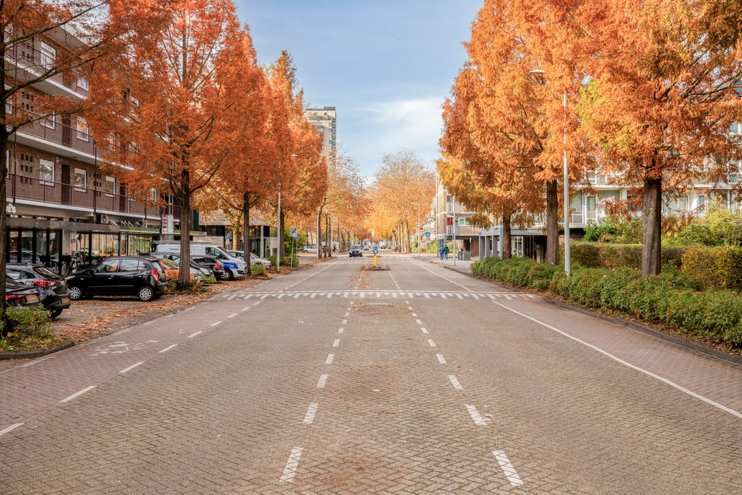 Foto 16 van Havikshorst 80