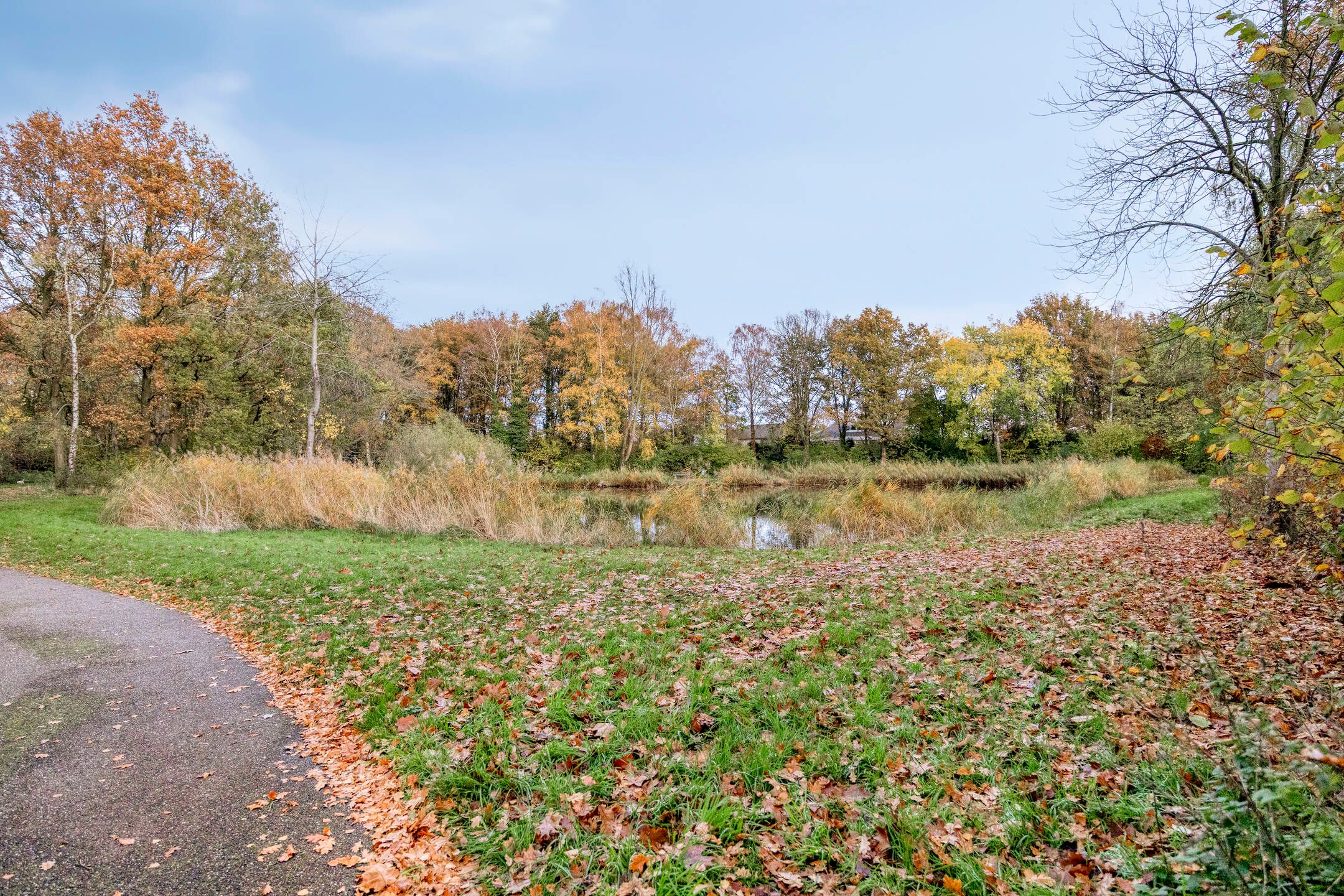 Foto 36 van Burgemeester van Grotenhuisstraat 11