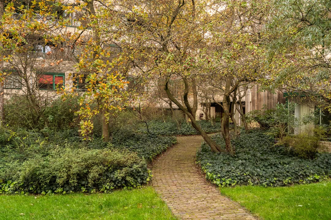 Foto 1 van Burgemeester Patijnlaan 346