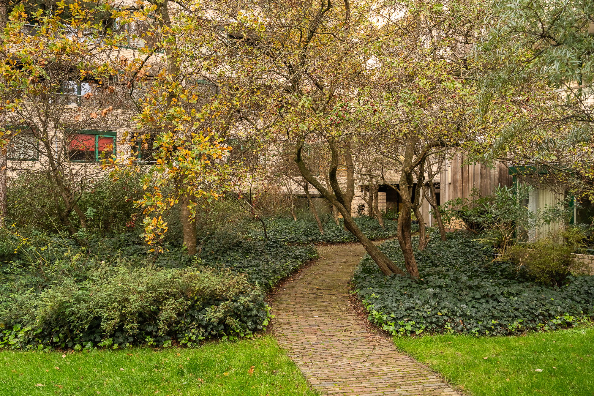 Burgemeester Patijnlaan 346 