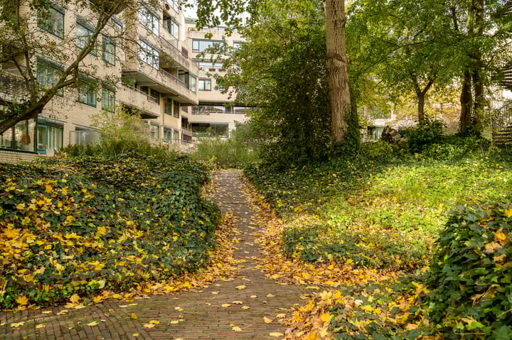 Photo 2 of Burgemeester Patijnlaan 346