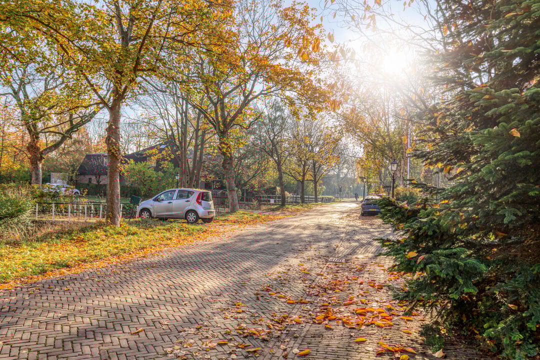 Photo 41 of Koningshof 72