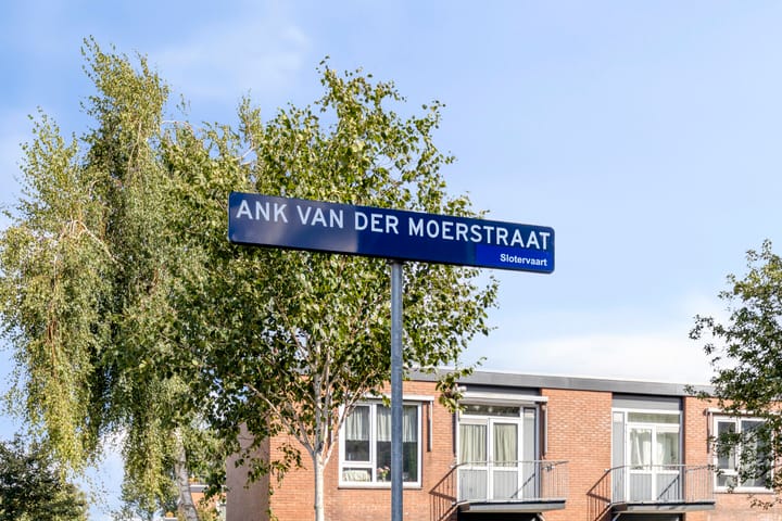 Foto 25 van Ank van der Moerstraat 31-C