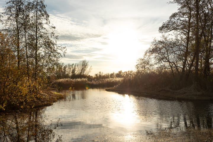 Photo 28 of Wim de Kwanthof 15