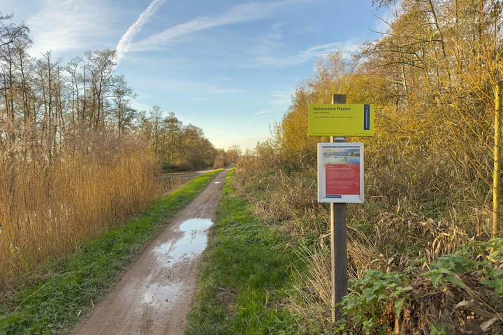 Photo 33 of Wim de Kwanthof 15