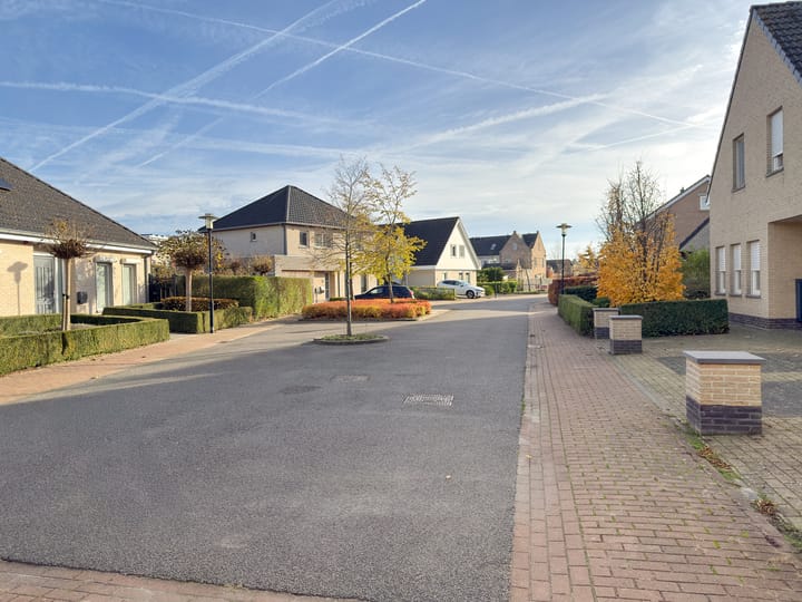 Foto 39 van Meerkoet 5