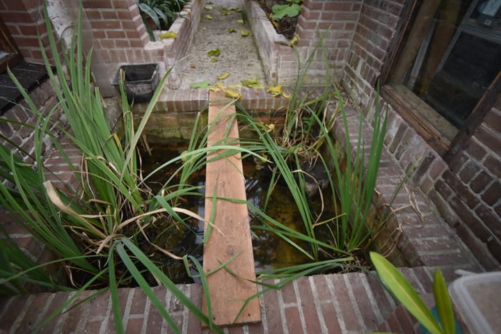 Photo 32 of Hooiweg 19