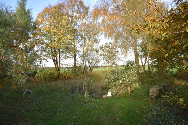 Photo 44 of Hooiweg 19