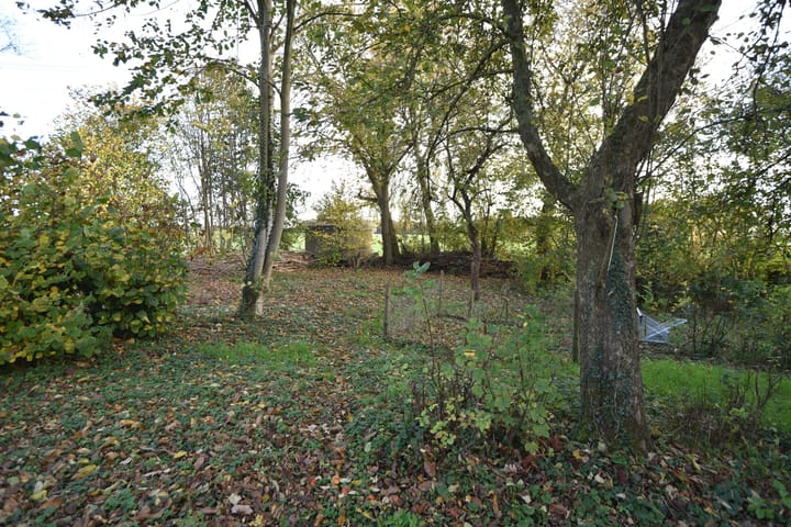 Photo 45 of Hooiweg 19