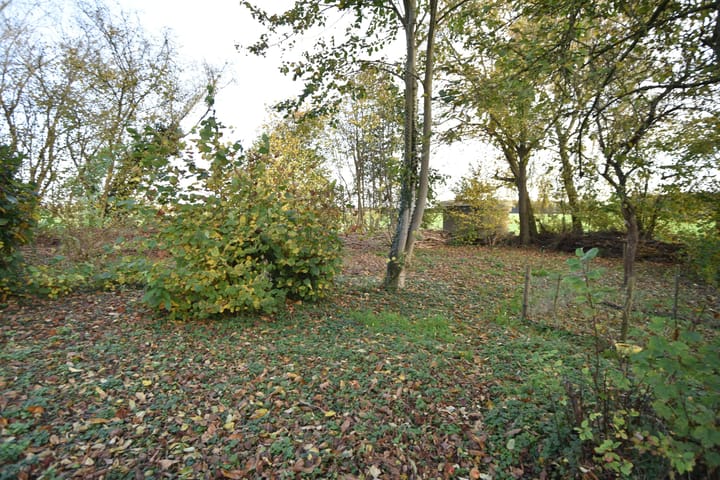 Photo 46 of Hooiweg 19