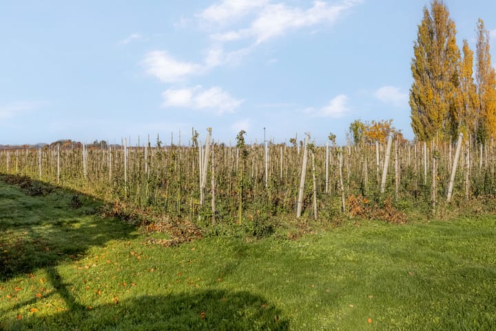 Photo 56 of Prinses Julianaweg 13