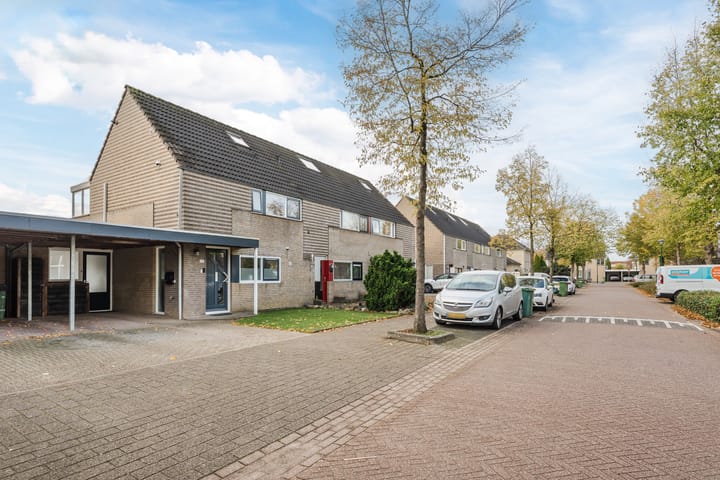 Photo 5 of Kattedoorn 105