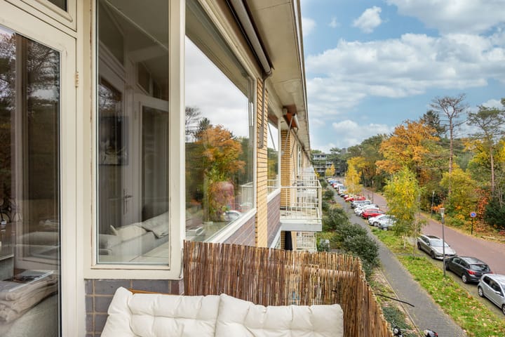 Foto 14 van Sophialaan 3-2