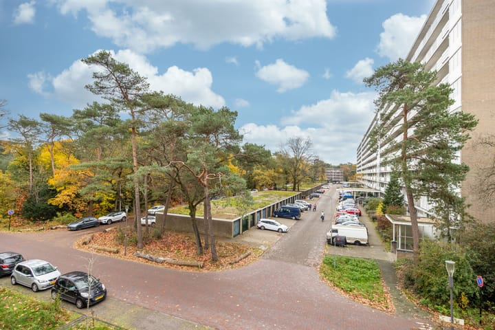 Foto 15 van Sophialaan 3-2