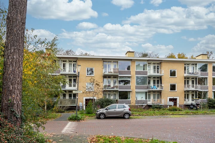 Foto 4 van Sophialaan 3-2