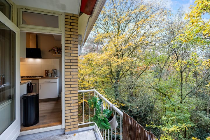 Foto 24 van Sophialaan 3-2