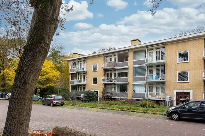 Foto 28 van Sophialaan 3-2