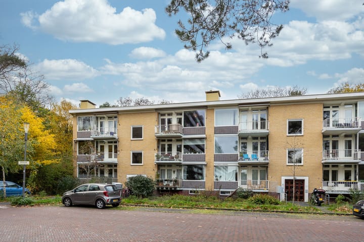 Foto 29 van Sophialaan 3-2