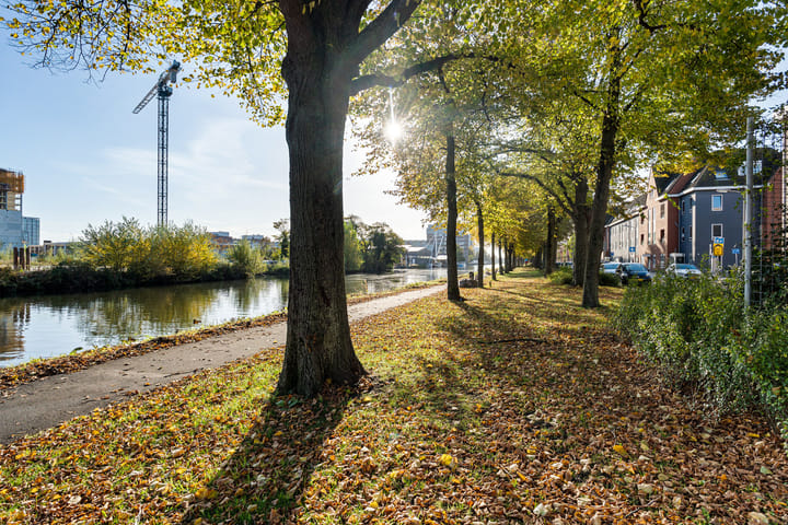 Photo 31 of Trekweg 187