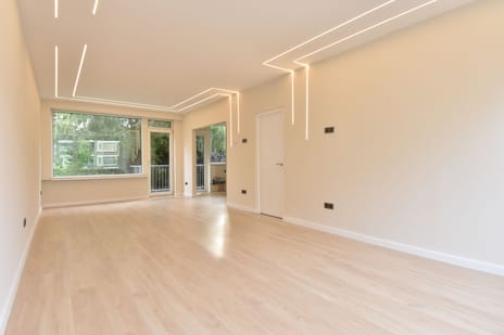 van Slingelandtstraat thumbnail