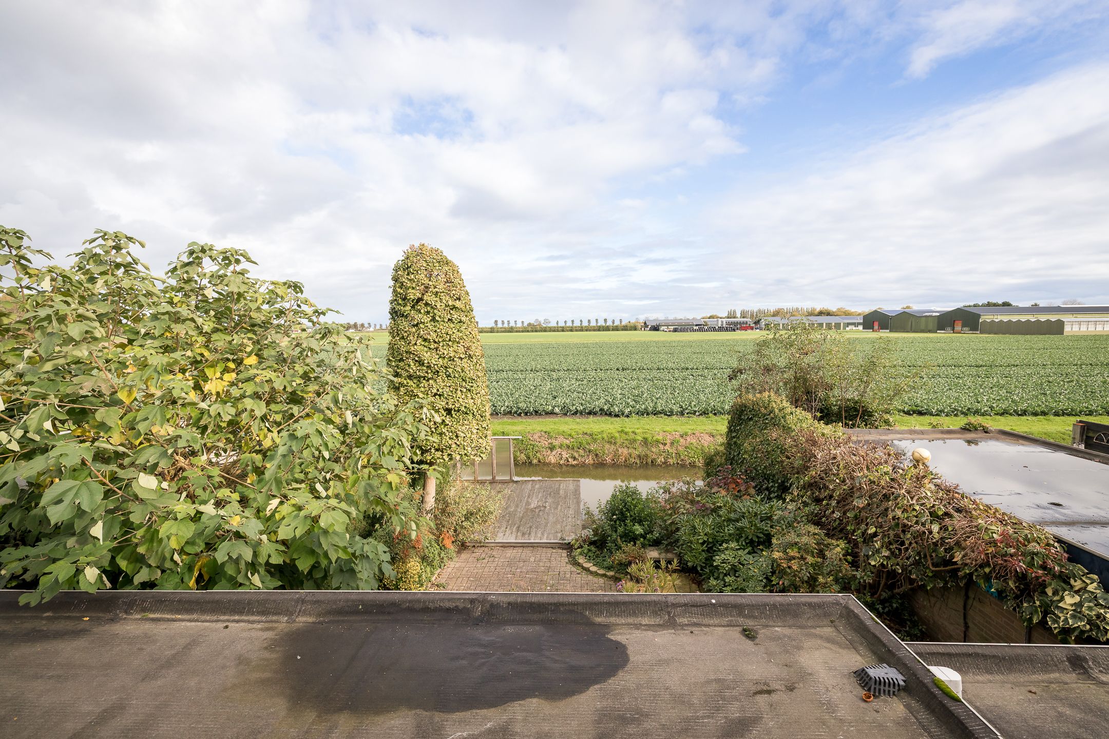 Photo 33 of Wethouder Grootstraat 15