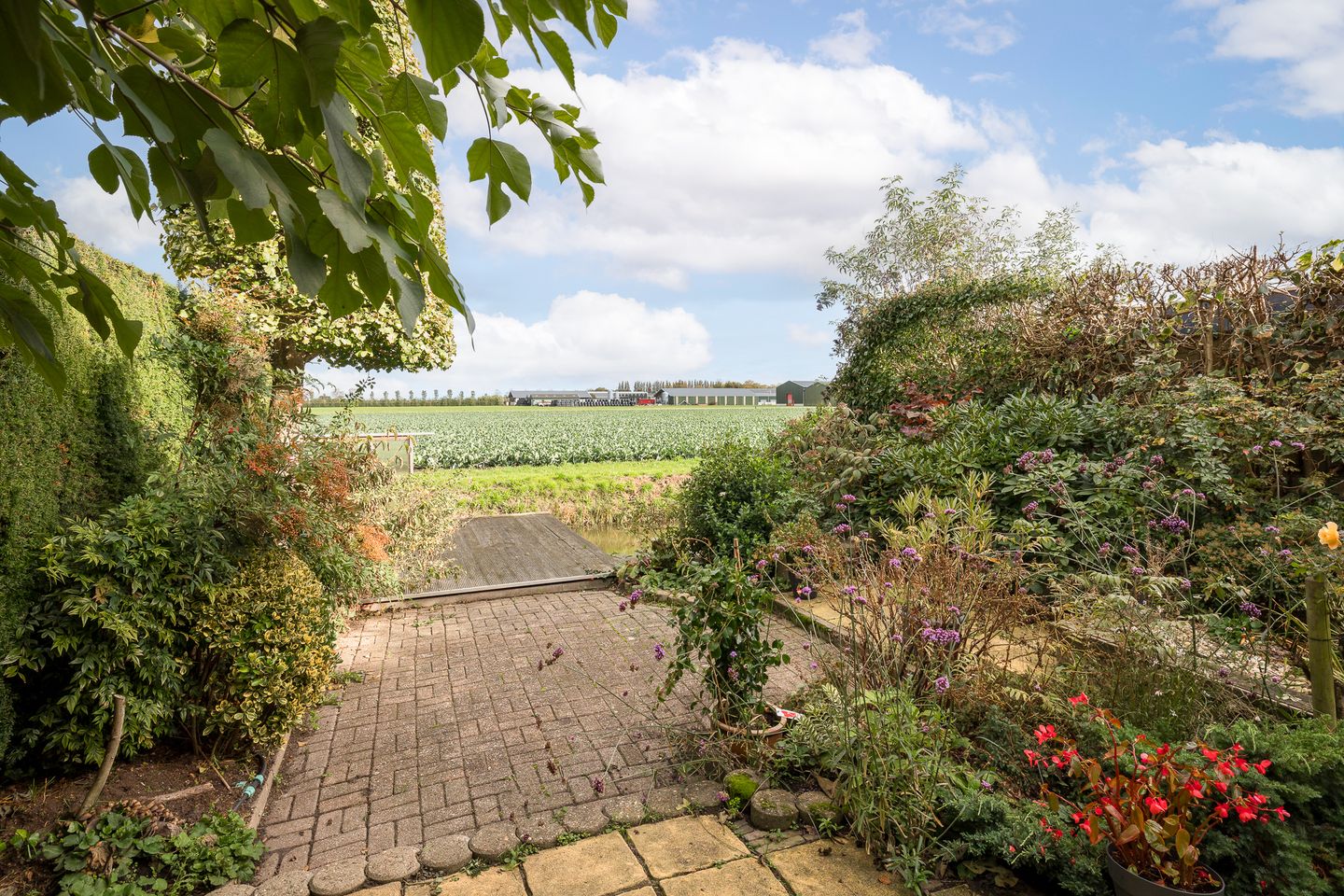 Photo 34 of Wethouder Grootstraat 15