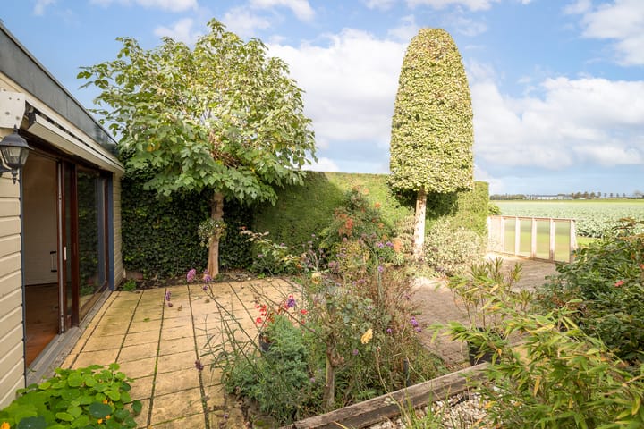 Photo 32 of Wethouder Grootstraat 15