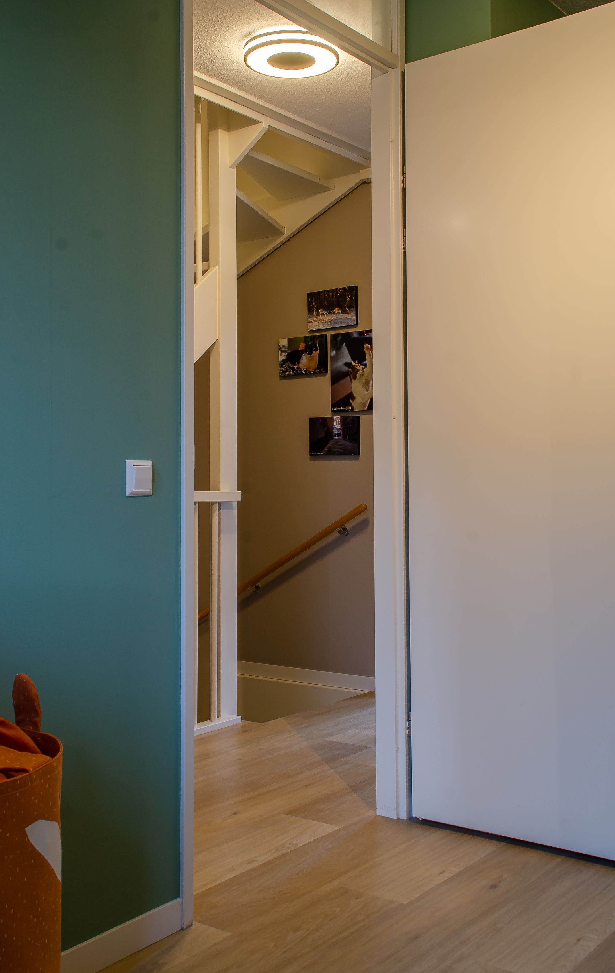 Foto 30 van Prinses Catharina-Amalialaan 34