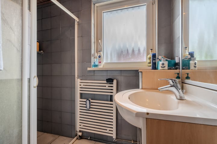 Photo 27 of Ranonkelstraat 29