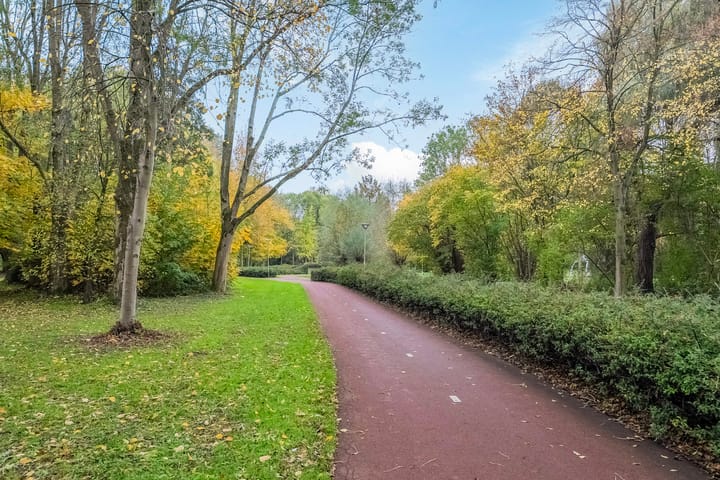 Foto 31 van De Zeeg 38